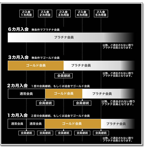 �G�b�`��4610�̌��R�~�A���r���[�y���\��Q�ɂ��āz