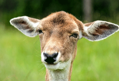 ���ꂾ���͒m���Ă����ׂ����C������T�C�g�̒m��