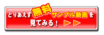 ��{���ɓ���Ă݂����z